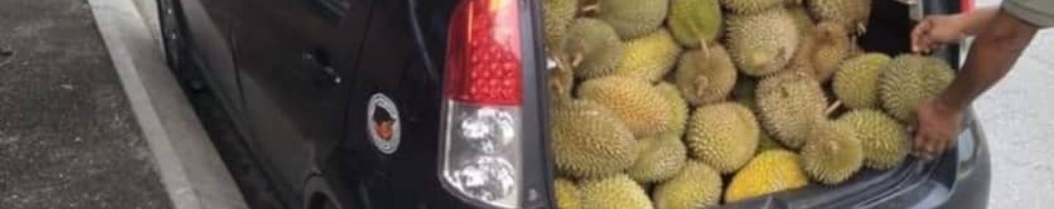 Sabarlah wahai hati.